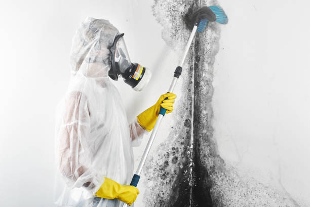 Best Commercial Mold Inspection  in , TX