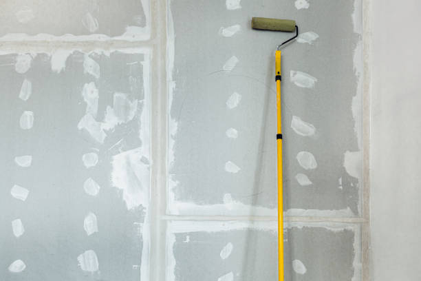  , TX Mold Removal Pros