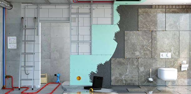 Best Black Mold Removal  in , TX